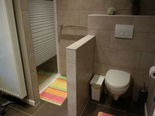 Ferienhaus Nieuwmunster Ausstattung 13