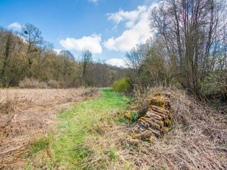 Vakantiehuis Doische Omgeving 34