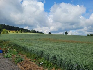 Holiday house Lierneux Environment 30