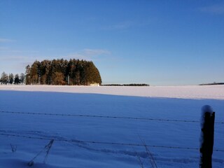 Ferienhaus Lierneux Umgebung 36