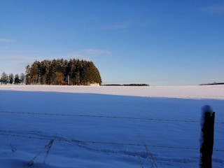 Holiday house Lierneux Environment 35