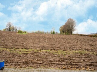 Holiday house Lierneux Environment 31