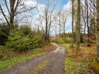 Vakantiehuis Lierneux Omgeving 38