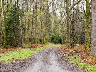 Vakantiehuis Lierneux Omgeving 33