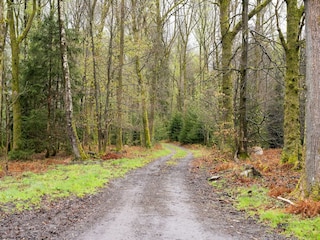 Vakantiehuis Lierneux Omgeving 35