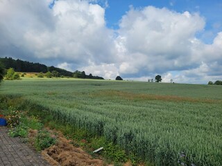 Maison de vacances Lierneux Environnement 34