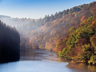 Type de propriété : Ferme Bertogne Environnement 31