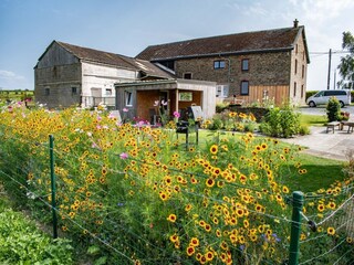 Type de propriété : Ferme Bertogne Enregistrement extérieur 2