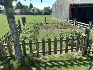 Type de propriété : Ferme Bertogne  34