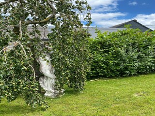 Cottage Beauraing  39