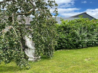 Type de propriété : Chalet Beauraing  39