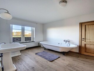 Casale Beauraing Caratteristiche 33