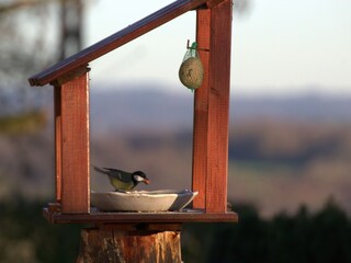 Vakantiehuis Somme-Leuze  39