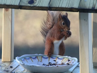 Vakantiehuis Somme-Leuze  40