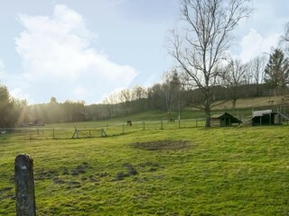Vakantiehuis Lierneux Omgeving 36