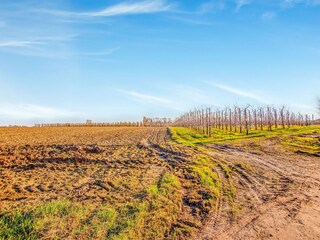 Casa de vacaciones Veurne Entorno 33