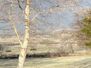 Casa de vacaciones Spa Entorno 25