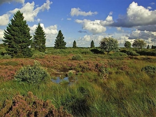Ferienhaus Spa Umgebung 23