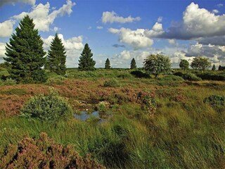 Vakantiehuis Spa Omgeving 28