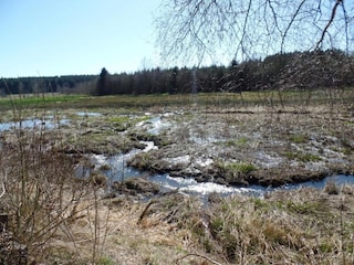 Holiday house Spa Environment 26