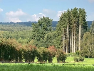 Ferienhaus Spa Umgebung 30
