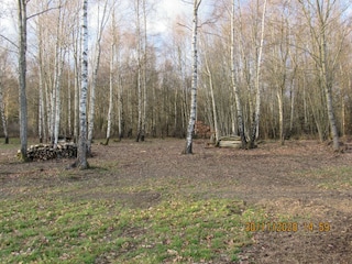 Chalet Tenneville Außenaufnahme 12