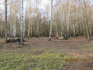 Chalet Tenneville Buitenaudio-opname 5