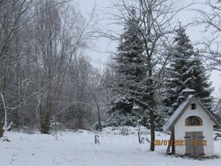 Chalet Tenneville Outdoor Recording 6