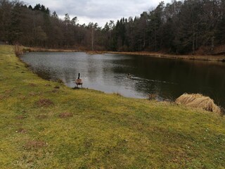 Chalet Robelmont Omgeving 34