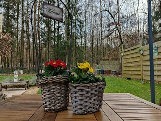 Chalet Robelmont  38