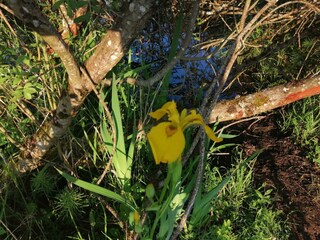 Chalet Robelmont Umgebung 35