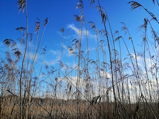 Chalet Robelmont Environnement 34