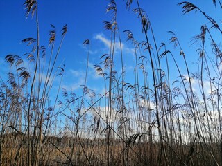 Chalet Robelmont Umgebung 36