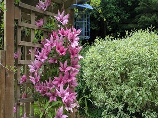 Chalet Robelmont  38