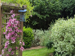 Chalet Robelmont  40