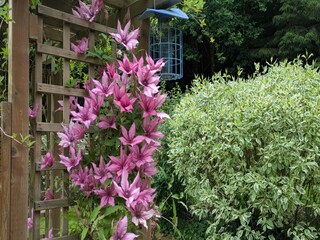 Chalet Robelmont  38