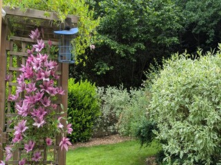 Chalet Robelmont  40