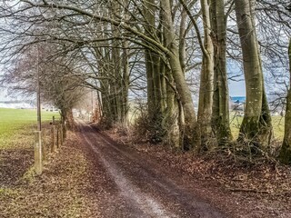 Holiday cottage Bastogne Environment 30