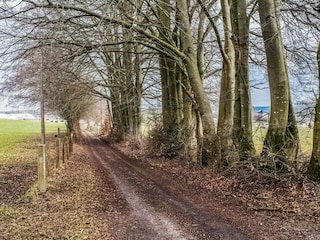 Holiday cottage Bastogne Environment 34