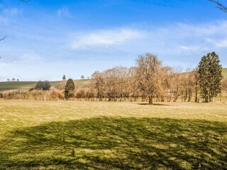 Holiday cottage Bastogne Environment 32