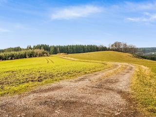 Maison de vacances Bastogne Environnement 38