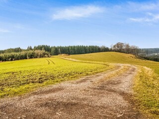 Vakantiehuisje Bastogne Omgeving 35