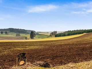 Holiday cottage Bastogne Environment 30