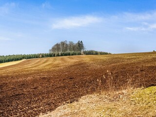 Holiday cottage Bastogne Environment 31