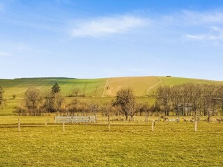 Holiday cottage Bastogne Environment 40