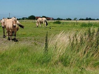 Apartamento Bredene Entorno 34