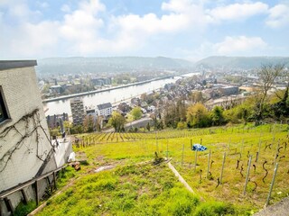 Maison de vacances Havelange Environnement 33