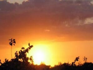 Holiday house Jan - Nordstrand - image1