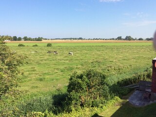 Casa per le vacanze Nordstrand Ambiente 21