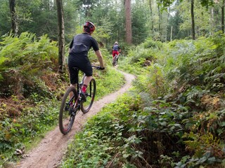 Vakantiehuis Lanaken Omgeving 40
